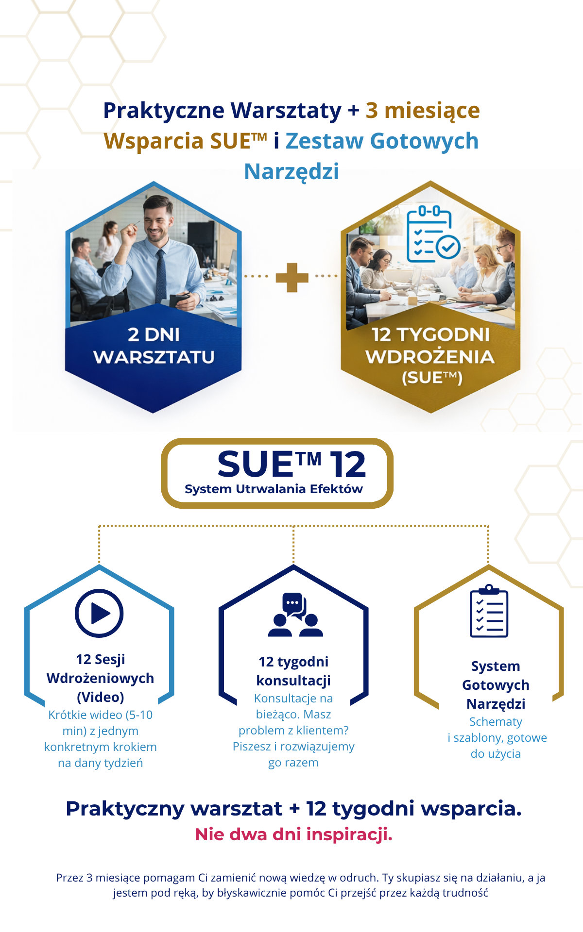 System Utrwalania Efektów  VIDI SUE